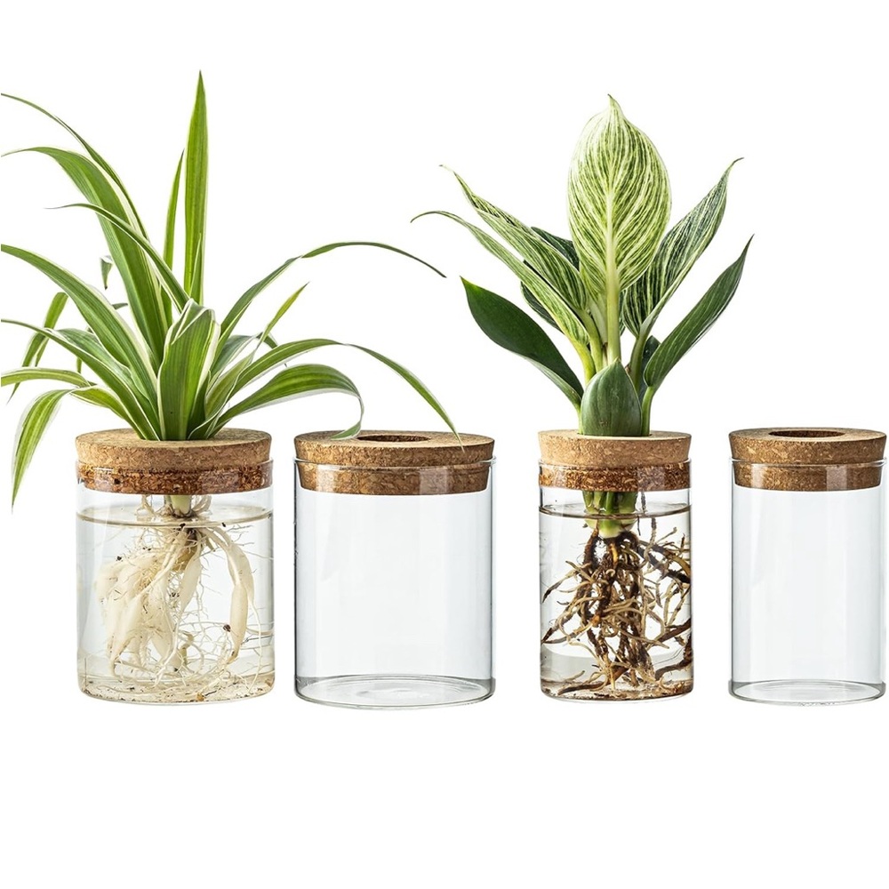 New. Set of 4 Glass Planters with Cork Lids. Desktop Flower Vases